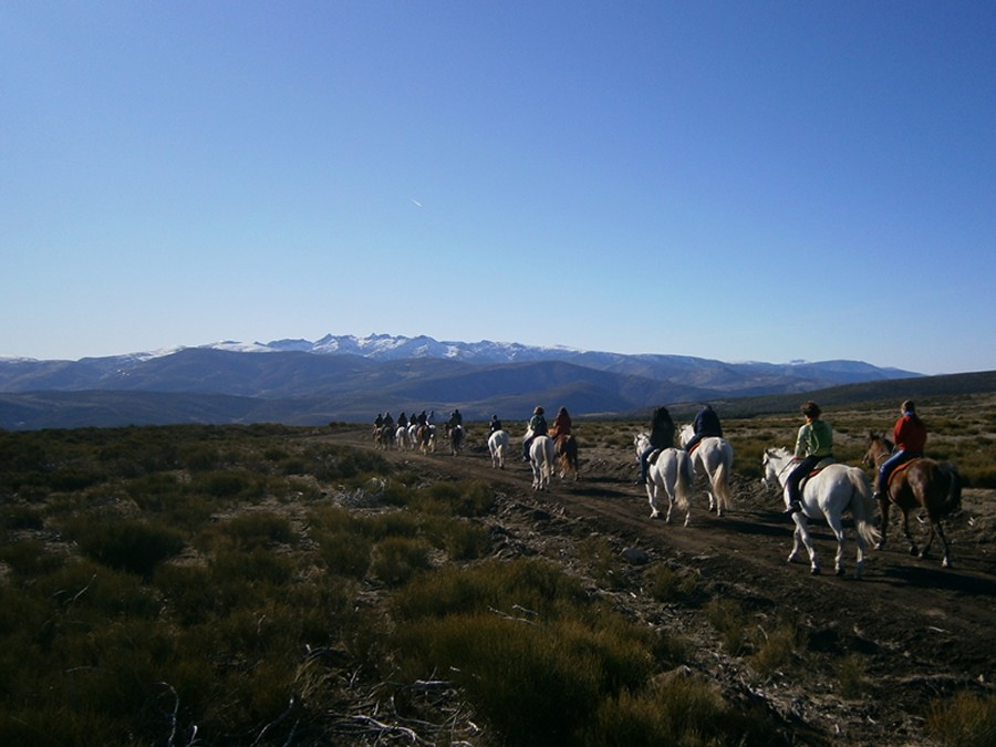rutasacaballogredos